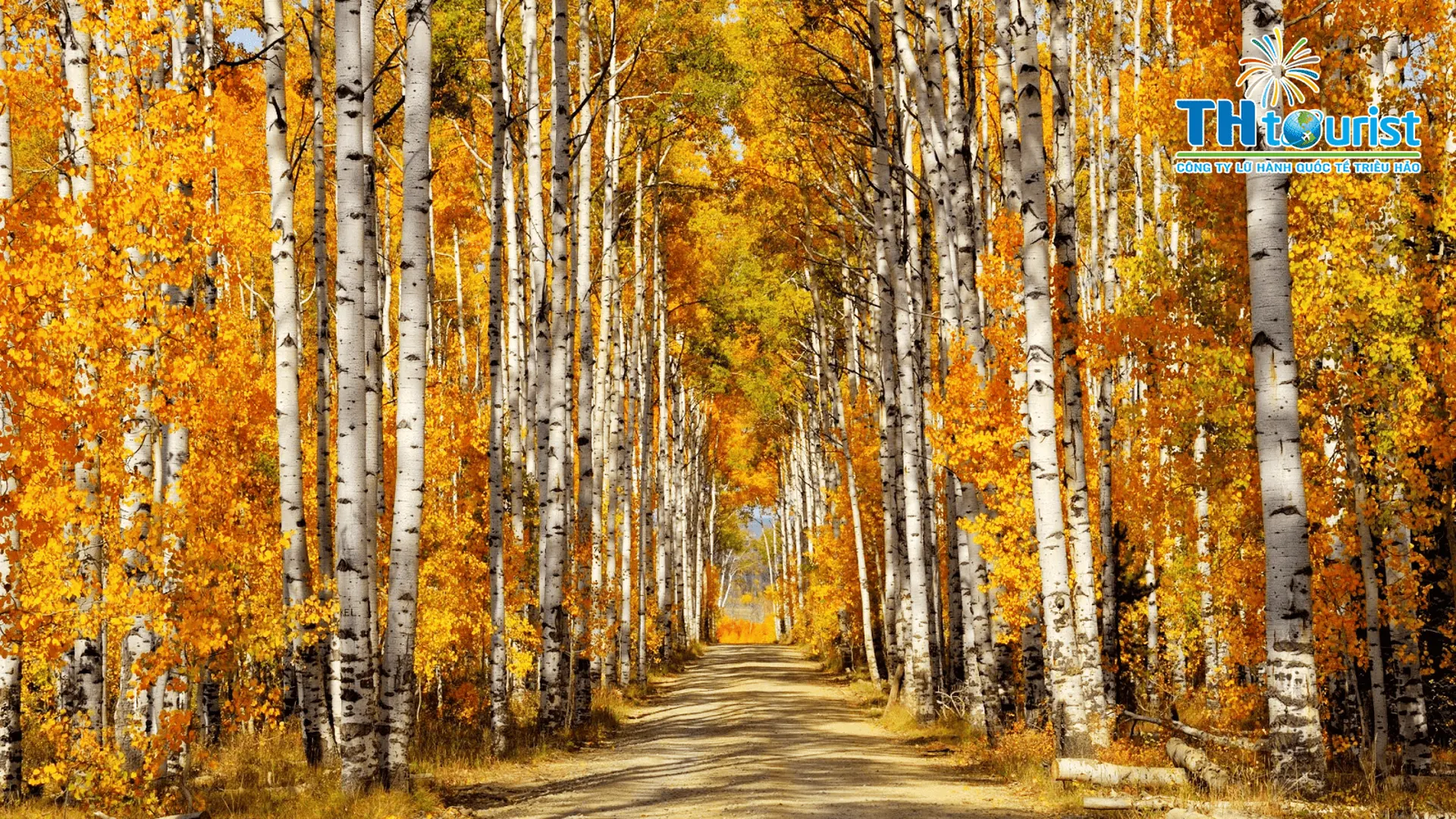 DU LỊCH NGA: SAY ĐẮM MÙA THU VÀNG XỨ SỞ BẠCH DƯƠNG