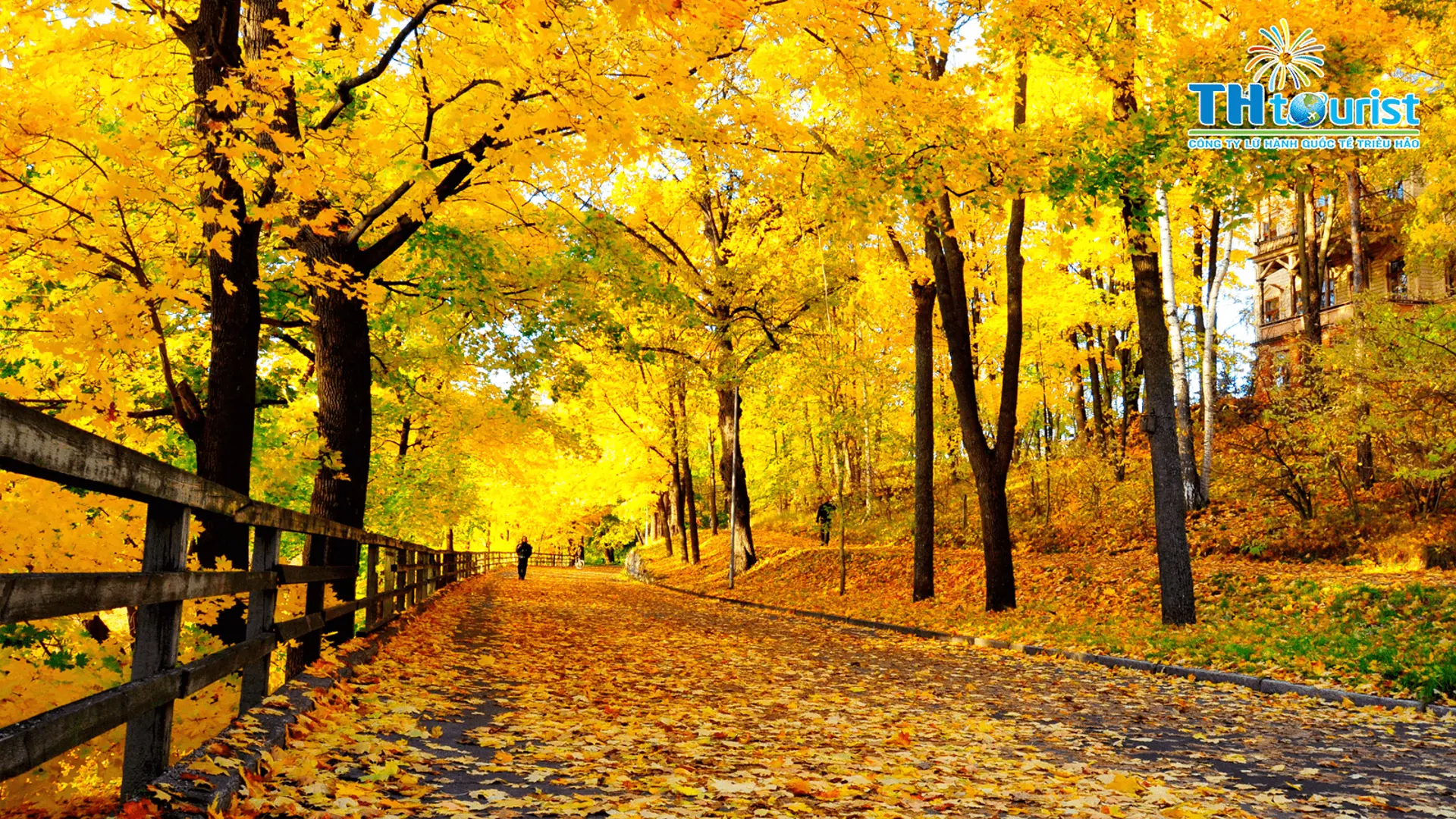 VÌ SAO NÊN ĐI DU LỊCH VÀO MÙA THU