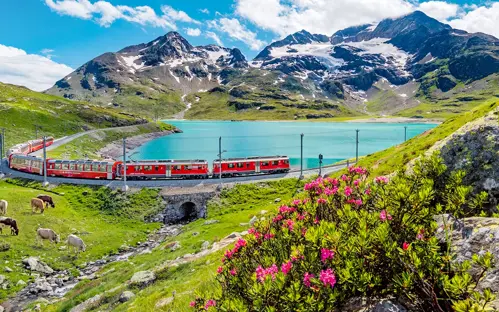 Kinh nghiệm đi tàu Lucerne Engelberg: chọn ghế bên nào? 