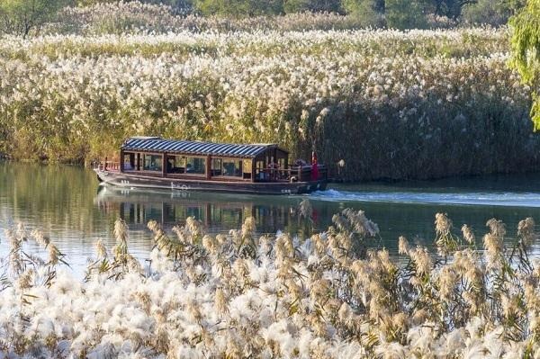 Morning mist turns Xixi Wetland into a dreamlike winter scene