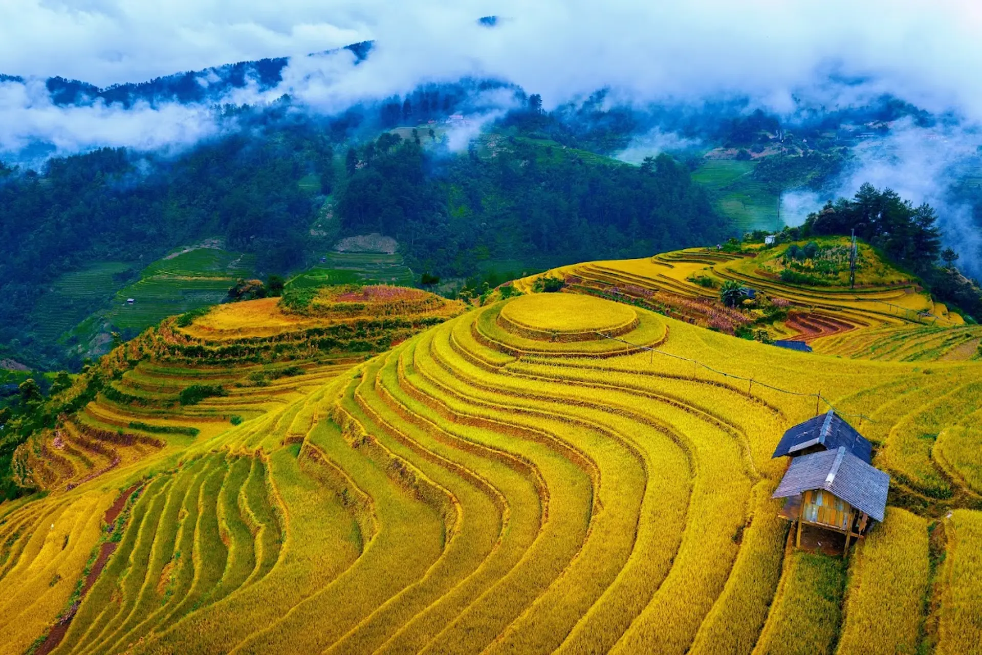 Mù Cang Chải mùa lúa chín đi tháng mấy, ngắm ở đâu đẹp nhất? 