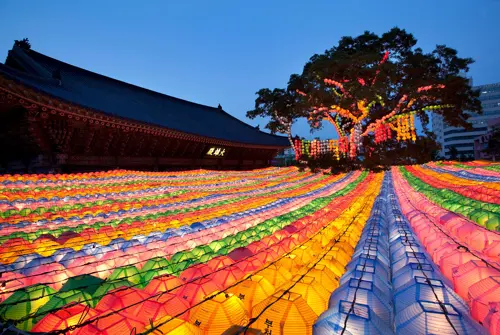 Du lịch Hàn Quốc Tết - Countdown 2026 & ngắm Seoul rực rỡ 