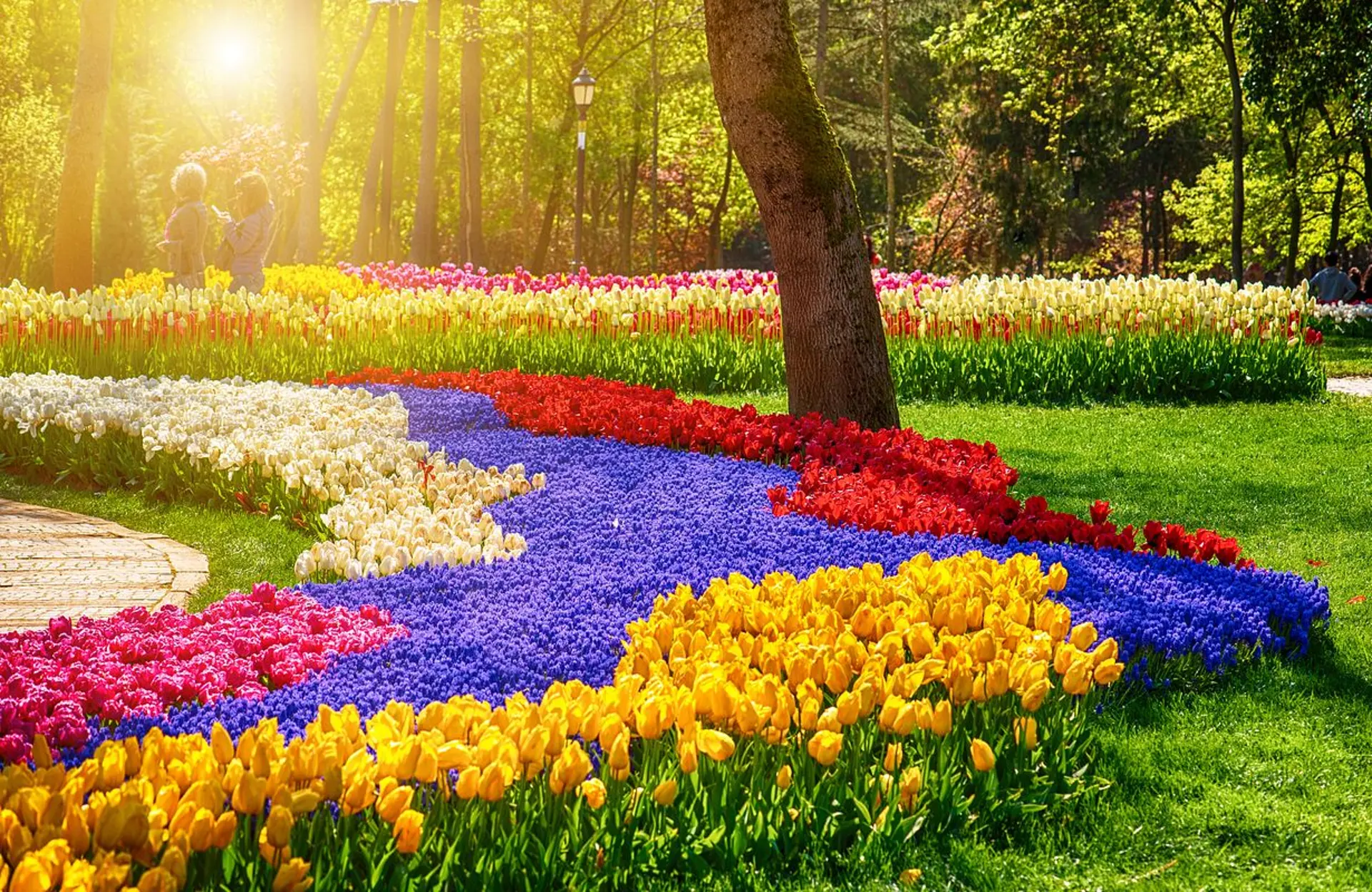 Emirgan Park mùa hoa tulip 2026 -  Thiên đường sắc xuân Istanbul tháng 4 