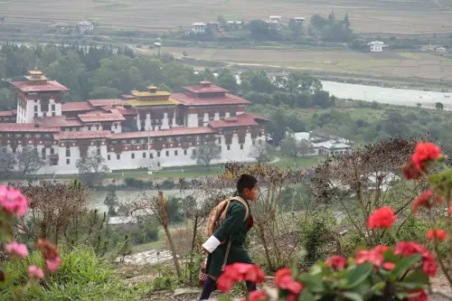 Du lịch Bhutan mùa hoa đỗ quyên 2026 - Đi tour hay tự túc tốt hơn?