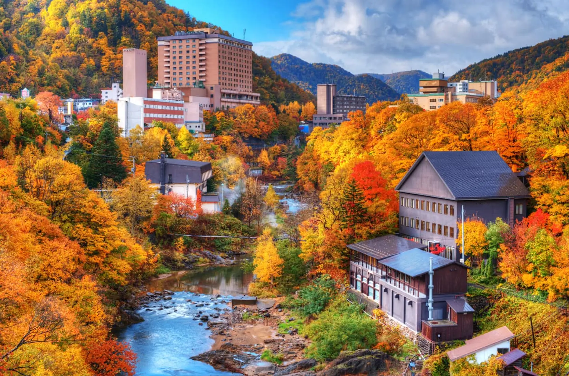 Mua gì ở Hokkaido mùa thu? Gợi ý quà theo mùa ngoài bánh và sữa