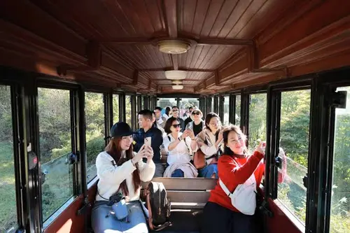 Rừng Sanyang Jeju có gì? 5 điều thú vị giữa nền dung nham