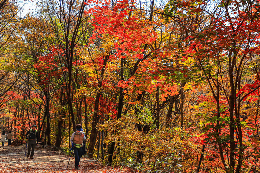 Núi Jirisan mùa thu – Hành trình trekking giữa thiên nhiên hùng vĩ Hàn Quốc