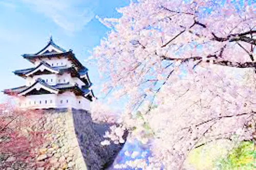 DU LỊCH NHẬT BẢN : NAGOYA - MATSUMOTO - YAMANASHI - NARITA 2026 (VJ)