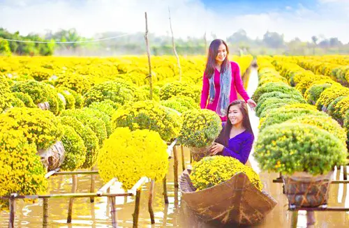 LÀNG HOA – VƯỜN QUÝT – CHỢ QUÊ – NEM LAI VUNG 2026