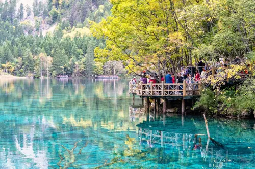 Khám Phá Cửu Trại Câu: Thiên Đường Hạ Giới Đẹp Nhất Trung Quốc