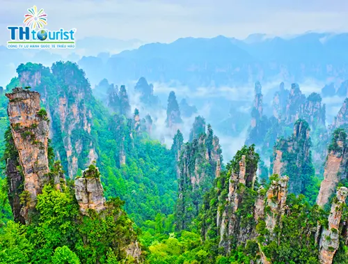 Du Lịch Trung Quốc: Trương Gia Giới - Phượng Hoàng Cổ Trấn (2025)