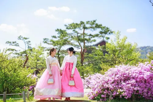 Du Lịch Hàn Quốc: Khám Phá 4 Mùa Tuyệt Đẹp Của Xứ Sở Kim Chi