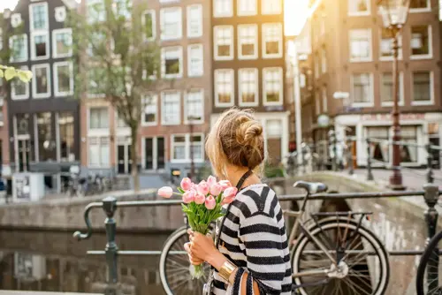 Du lịch Châu Âu 2026 - Amsterdam Noord rực rỡ sắc màu mùa tulip 