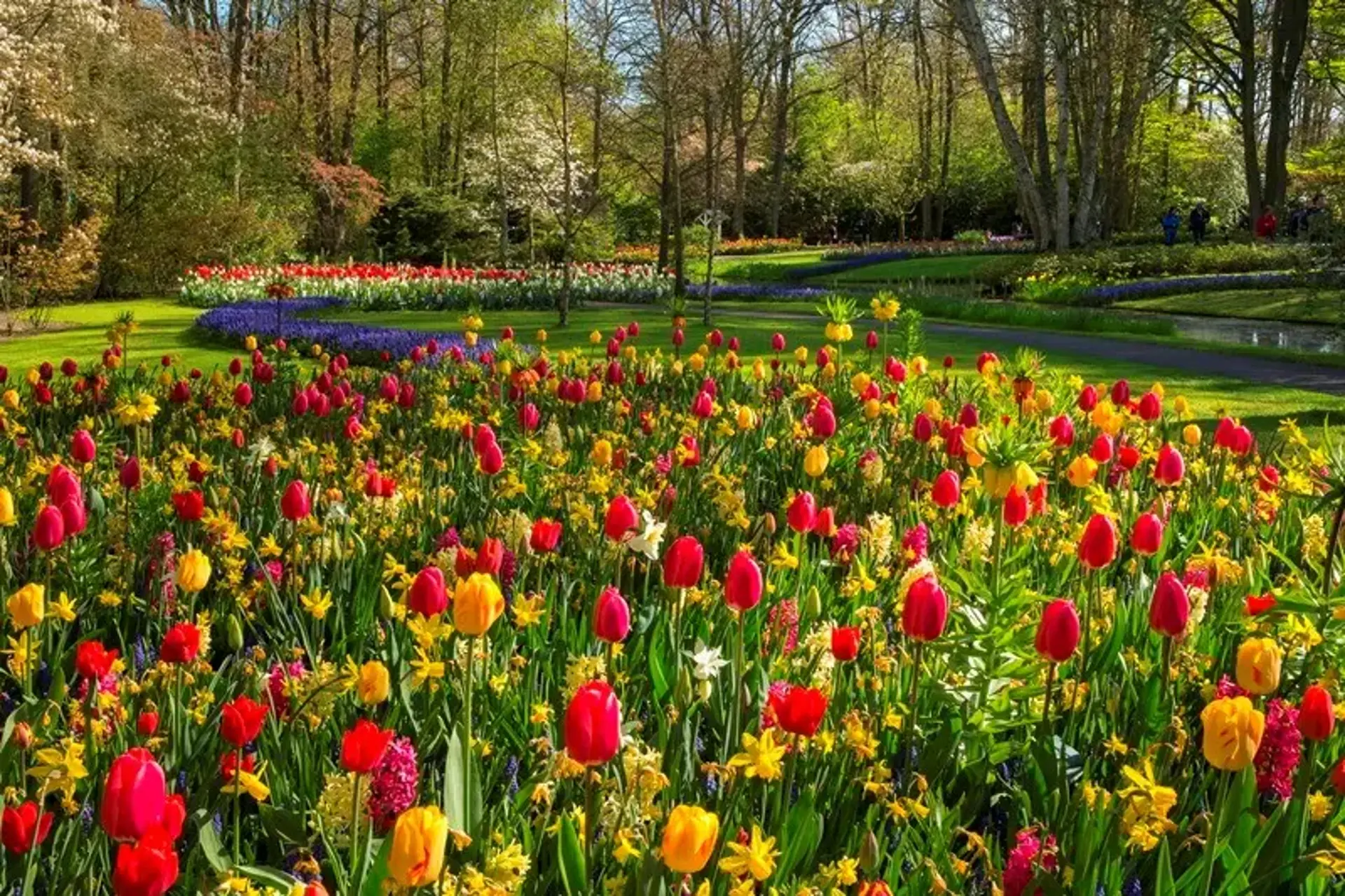 Du lịch Châu Âu mùa thu 2025 | Công viên Keukenhof rực rỡ ở Hà Lan
