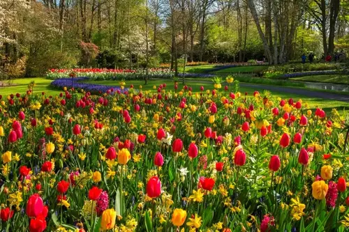 Du lịch Châu Âu mùa thu 2025 | Công viên Keukenhof rực rỡ ở Hà Lan