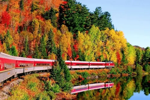 Tour Châu Âu mùa thu 2025 | Đi tàu hỏa ngắm lá vàng dọc dãy Alps ở Thụy Sĩ