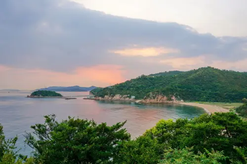 Đạp Xe Đảo Naoshima: 5 Điểm Check-in Nghệ Thuật Không Thể Bỏ Lỡ Ở Nhật Bản