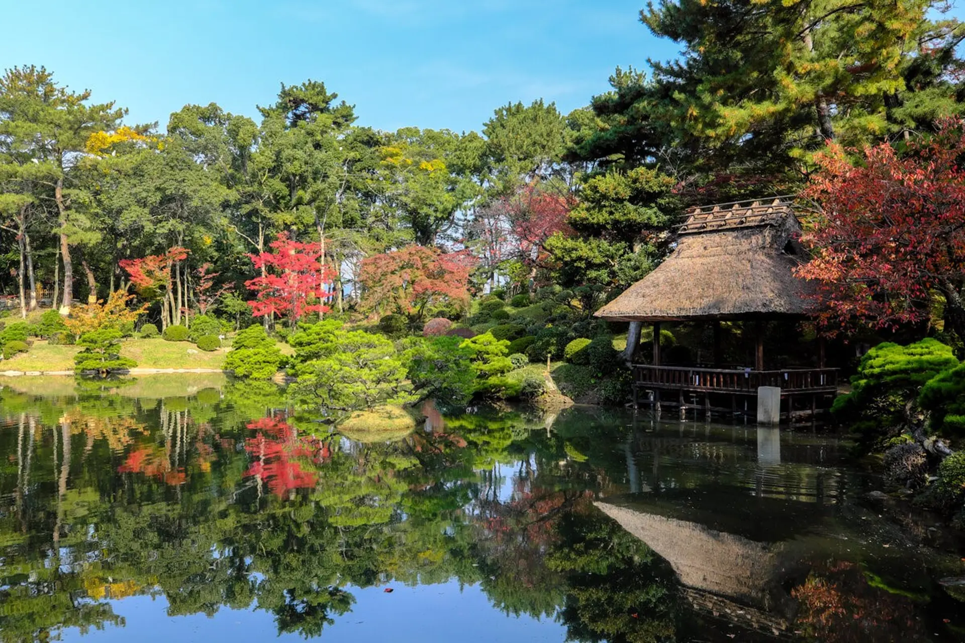 Lễ Hội Đèn Lồng Hiroshima Mùa Thu: Đắm Chìm Trong Ánh Sáng Momiji Dori