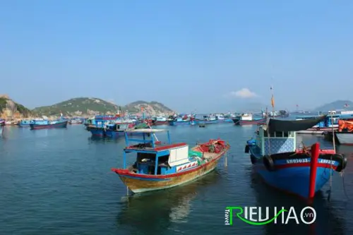 Tour du lịch Bình Ba (8-10/3/2014)