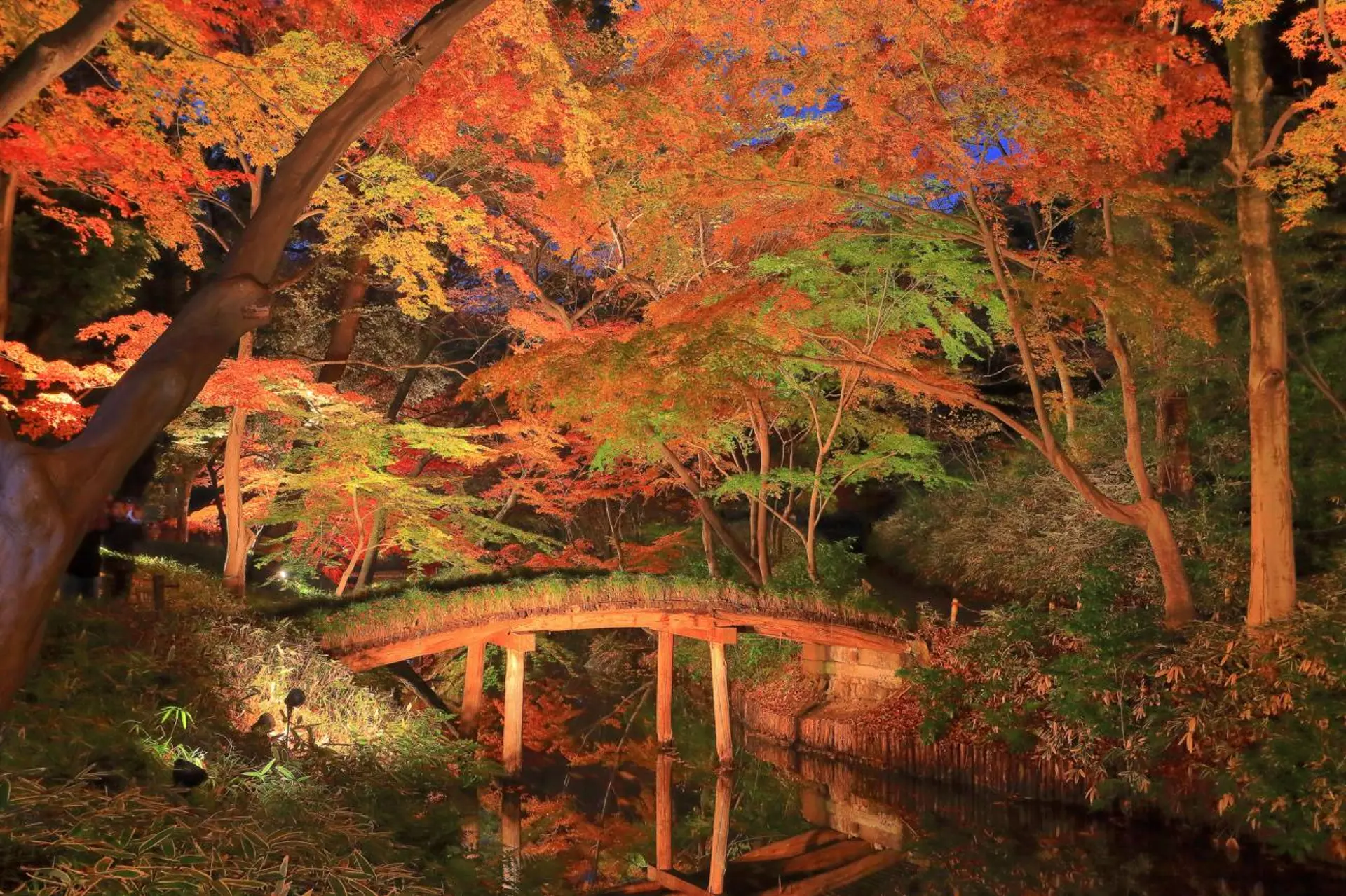 Công viên Rikugien Tokyo – Điểm ngắm lá đỏ đẹp bậc nhất Nhật Bản