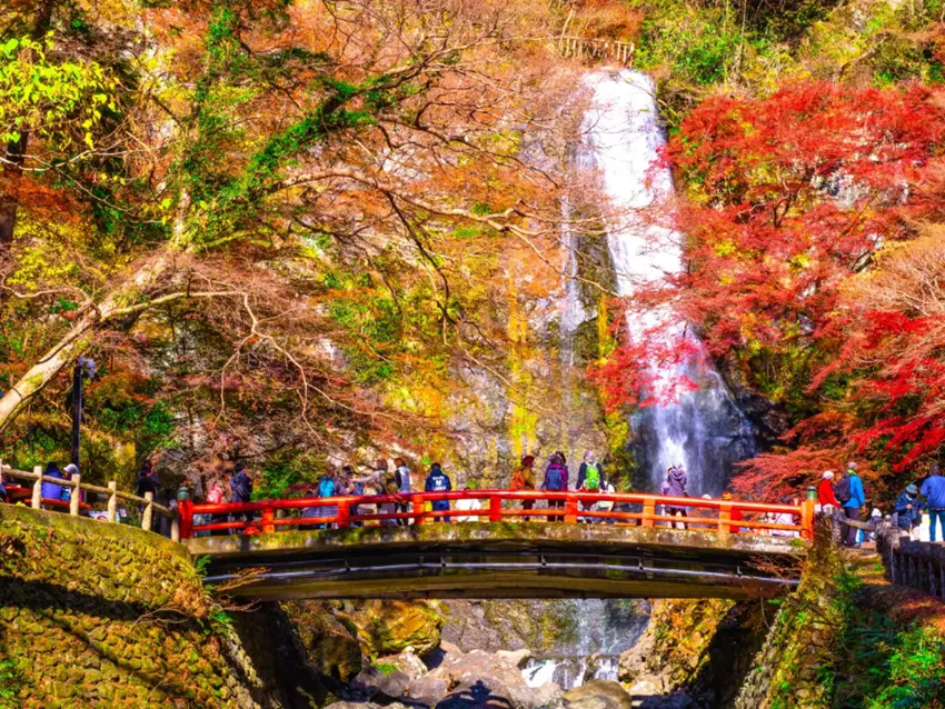 Thác Minoo Osaka | Điểm đến thiên nhiên tuyệt đẹp ở Nhật Bản 2025
