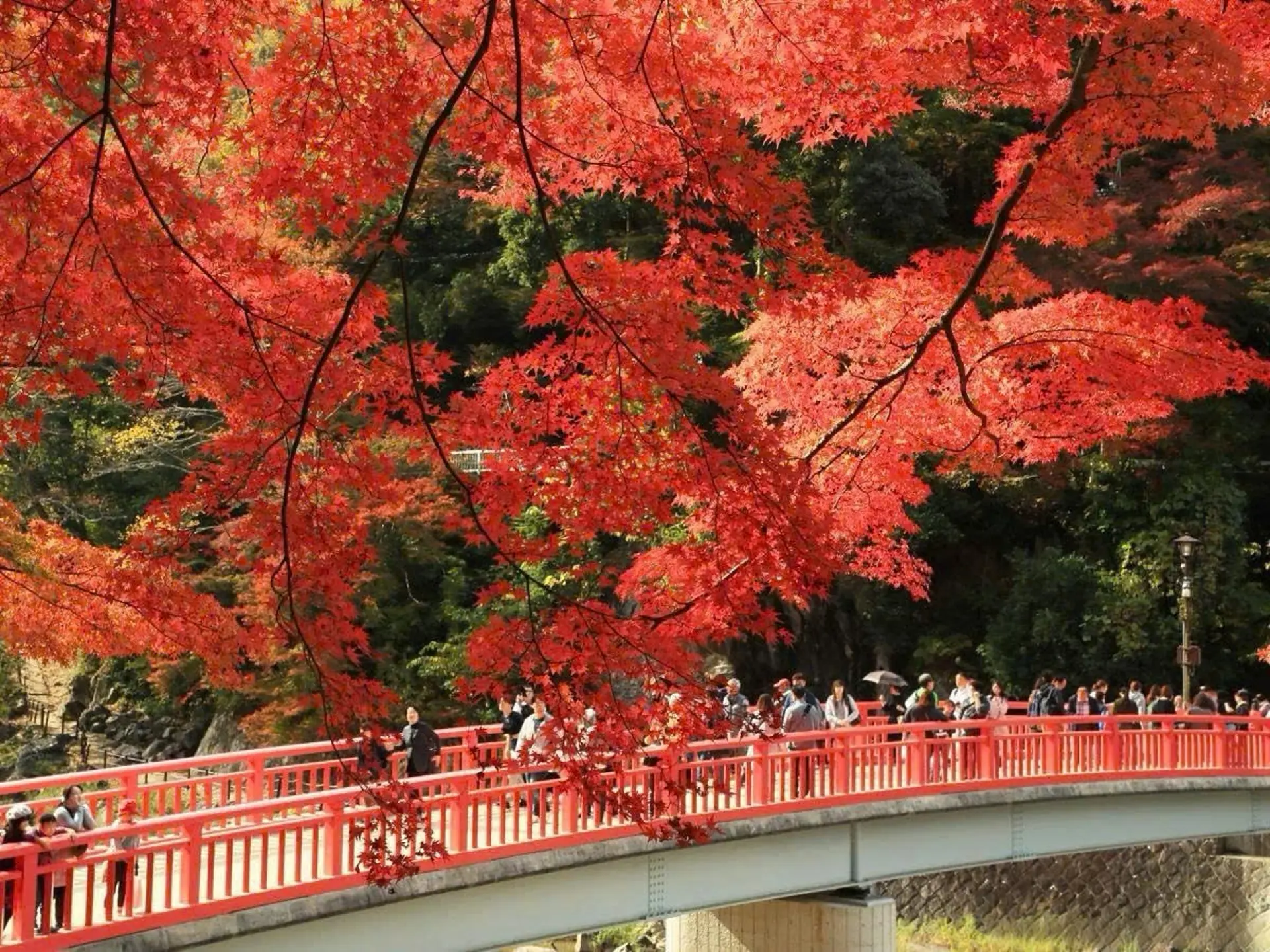 Công viên Korankei Aichi – Thung lũng lá đỏ đẹp nhất Nhật Bản