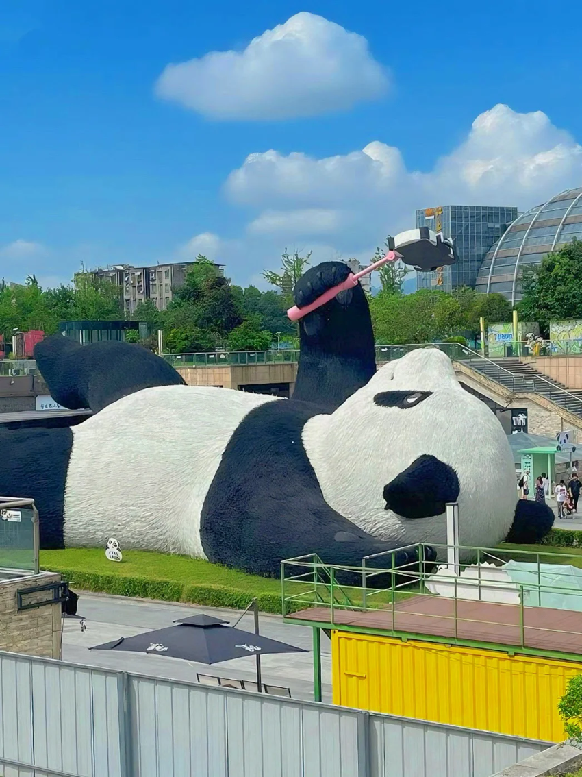 Công viên gấu trúc Thành Đô | Điểm đến hấp dẫn nhất ở Trung Quốc năm 2025