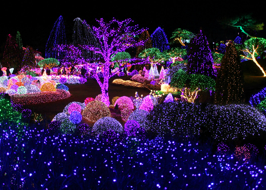 Garden of Morning Calm Illuminations – Lễ hội ánh sáng mùa đông Hàn Quốc