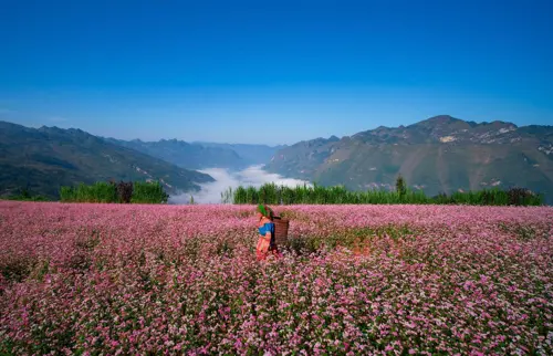 Tháng 11 đi đâu? 10 Điểm du lịch trong & ngoài nước không thể bỏ lỡ