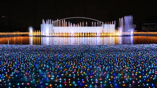 Lễ hội ánh sáng Nhật Bản cuối năm – Top địa điểm check-in đẹp nhất 2025